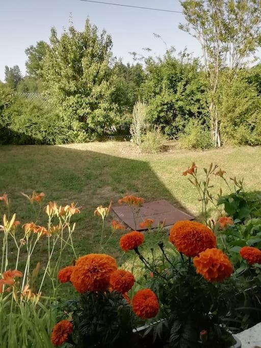 Maison De Village En Bord De Riviere Narcy 外观 照片