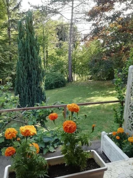 Maison De Village En Bord De Riviere Narcy 外观 照片