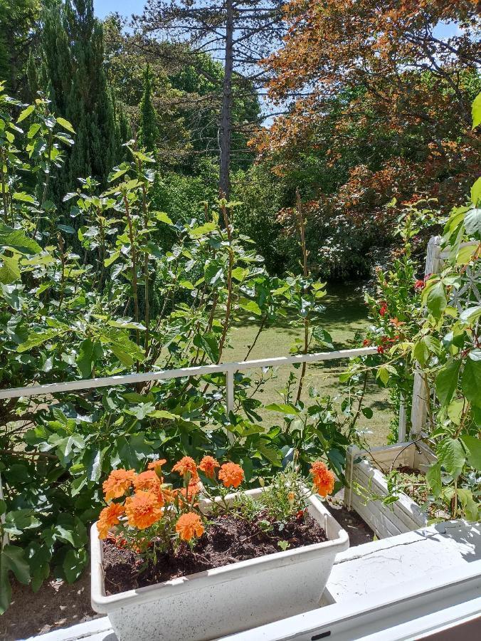 Maison De Village En Bord De Riviere Narcy 外观 照片